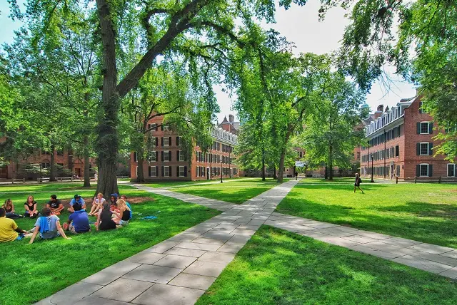 Introduction to Yale Summer Programs
