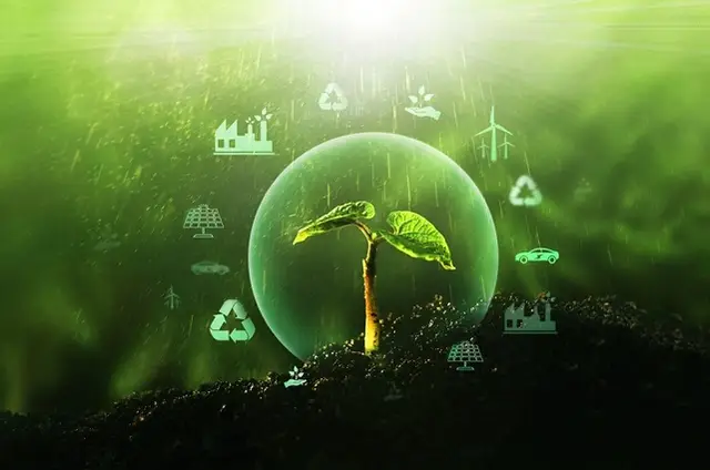 Renewable Energy