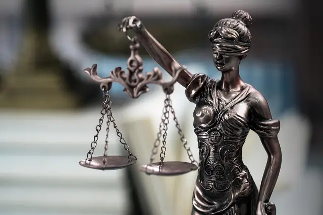 8 Law Project Ideas