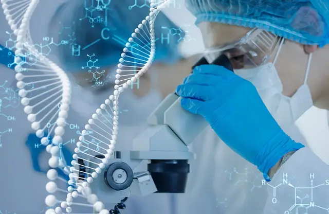 How Is Genetic Engineering Used in Medicine, Biology, & Agriculture