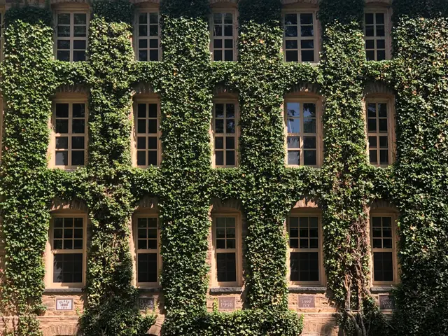 princeton covered in ivy