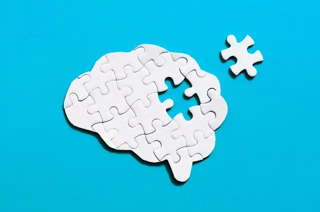 Neuroscience Internships