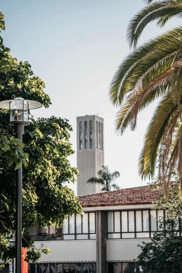 a tower of a university with palm tree in foreground