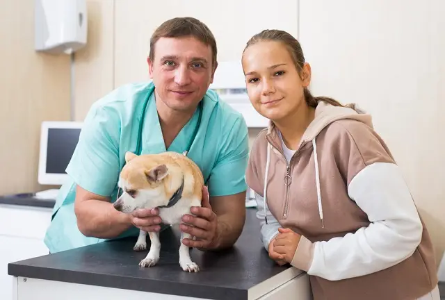 Young girl shadowing veterinarian in his daily work