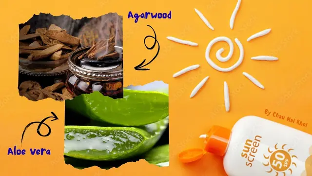 A new natural approach for skin: Formulation and evalution of the sunscreen made from aloe vera and agarwood