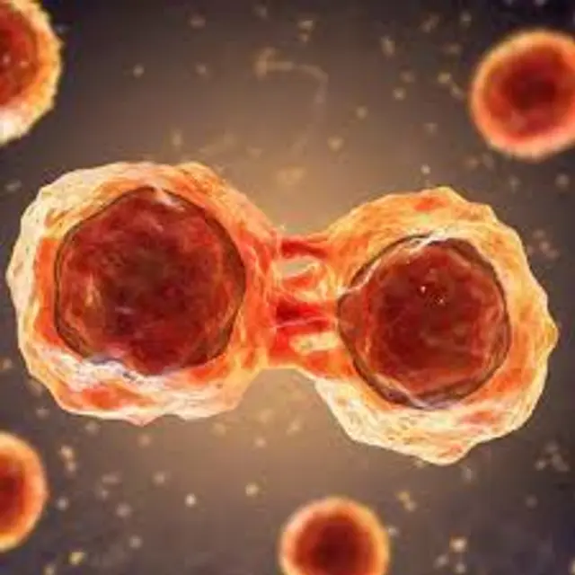 How can induced pluripotent stem cells be used to accelerate the recovery of muscle injuries that occur during sports?