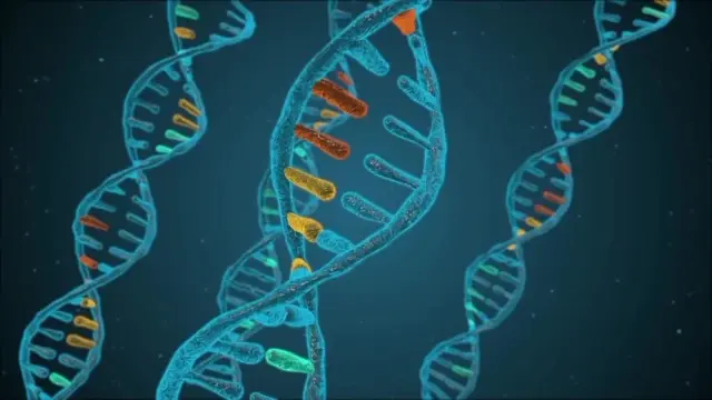 Understanding the role of MYC deregulation in breast cancer and leukemia and current challenges in targeting MYC oncogene