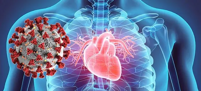 Post-COVID-19 and Climate Change Effects on Infectious Myocarditis: Implications for the Cardiovascular System