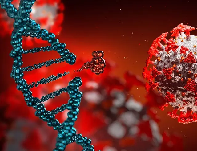 Causes and Treatments for Various Phenotypes Among Autistic Individuals