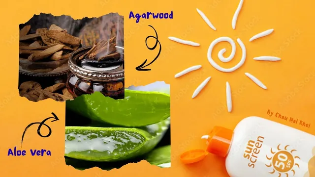 A new natural approach for skin: Formulation and evalution of the sunscreen made from aloe vera and agarwood
