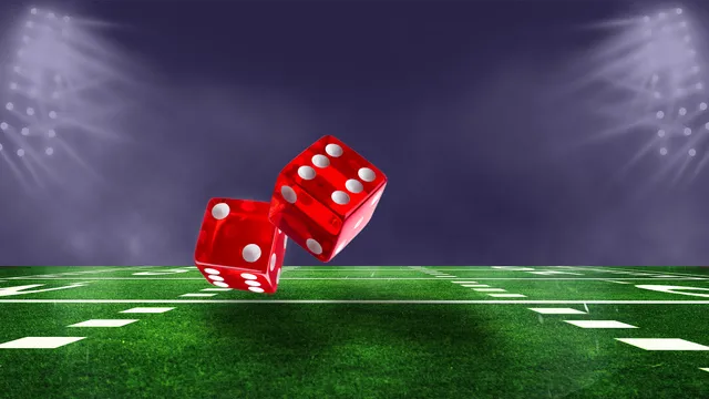 The Business of Sports Betting: How U.S. Sportsbooks Profit and the Costs They Create