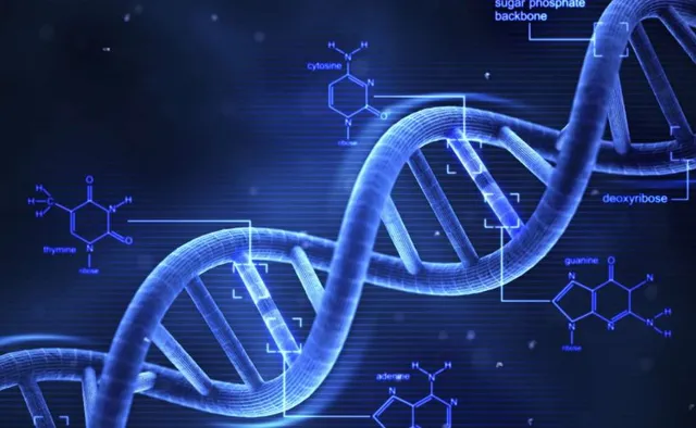 The Role of DNA Methylation in Type 2 Diabetes (T2D)