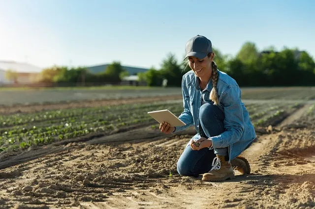 10 Environmental Project Ideas for High Schoolers | Polygence